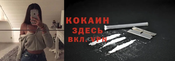 спайс Алзамай