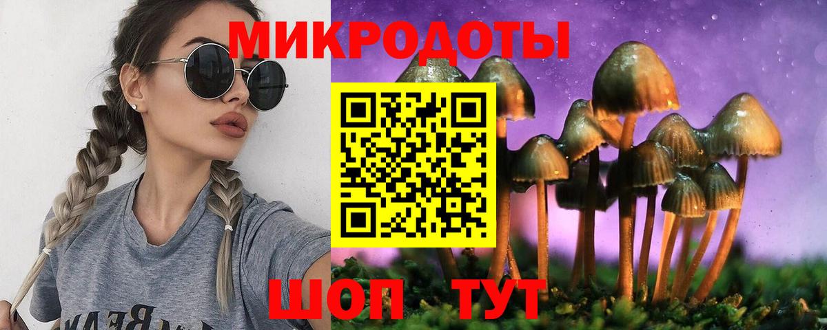 цены наркотик  Вход с VPN  Новодвинск  Псилоцибиновые грибы Psilocybe  Галлюциногенные грибы мухоморы 